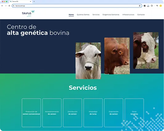Proyecto 1