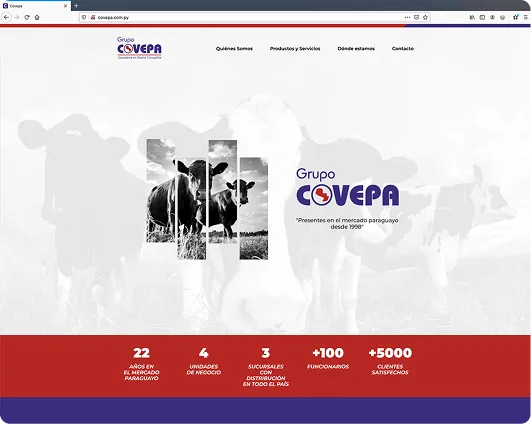 Proyecto 3