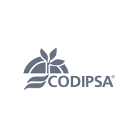 Codipsa