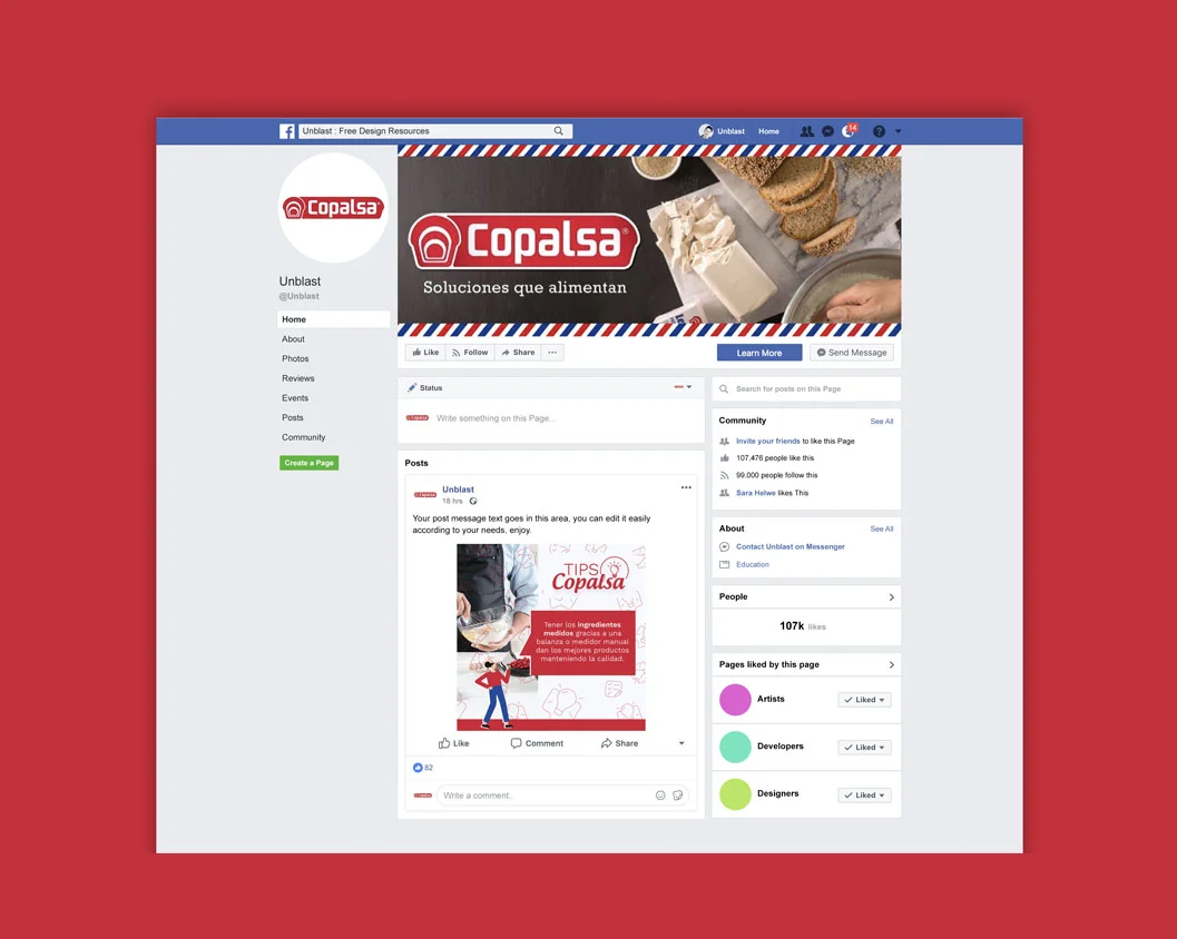 redes sociales copalsa